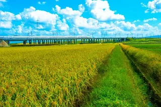 愛知県の地域画像3