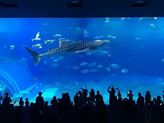 沖縄県の地域画像1