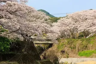 佐賀県の地域画像3
