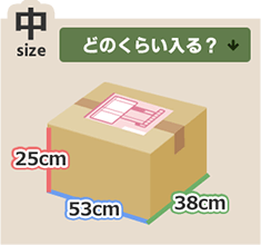中サイズどのくらい入る？