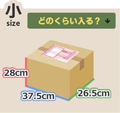 小サイズどのくらい入る？
