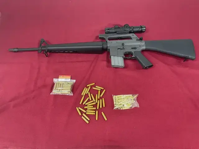 TOP JAPAN EBB　M16VN　　本体とカートリッジ
