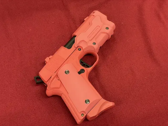 AM.45 バージョン・レン“ヴォーパル・バニー” 右側面後方